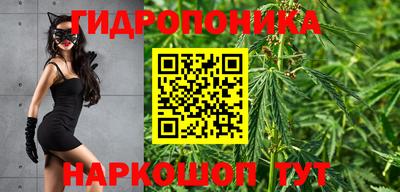 трава Севастополь