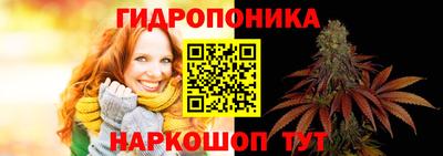 индика Свободный
